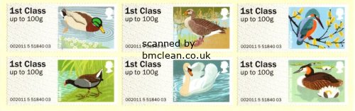 (image for) 2011 Birds of Britain III