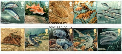 (image for) 2014 Sustainable Fish