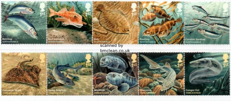 (image for) 2014 Sustainable Fish