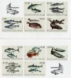 (image for) 2022 Fish (S/A)