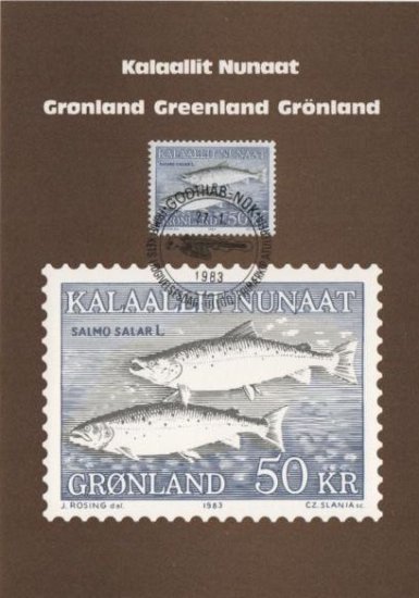 (image for) 1983 Salmon