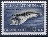 (image for) 1984 Spotted Wolf-fish