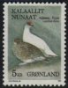 (image for) 5.00 Kr Rock Ptarmigans