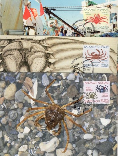 (image for) 1993 Crabs