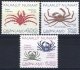 (image for) 1993 Crabs