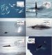 (image for) 1996 Whales (1st series)
