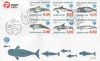 (image for) 1998 Year of the Ocean