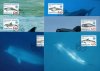 (image for) 1998 Year of the Ocean