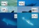 (image for) 1998 Year of the Ocean