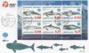 (image for) 1998 Year of the Ocean M/S