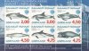 (image for) 1998 Year of the Ocean M/S