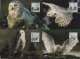 (image for) 1999 The Snowy Owl