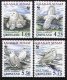 (image for) 1999 The Snowy Owl