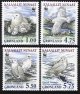 (image for) 1999 The Snowy Owl