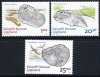 (image for) 2008 Fossils
