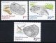(image for) 2008 Fossils
