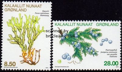 (image for) 2013 Herbs