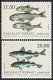 (image for) 2022 Fish in Greenland