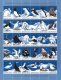 (image for) 1981 Christmas Seals Sheet (Perf.)