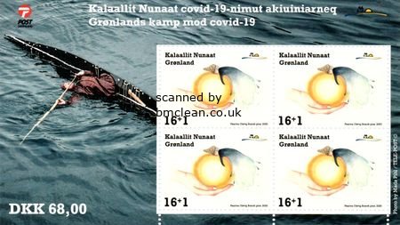 (image for) 2020 Covid-19 (M/S)