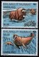 (image for) 2020 Nordic - Mammals