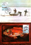 (image for) 2002 Sea Exploration