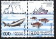 (image for) 2002 Sea Exploration