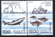(image for) 2002 Sea Exploration