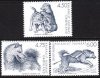(image for) 2003 Sled Dogs