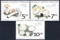 (image for) 2006 Fungi II