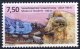 (image for) 2006 Sheep Farming