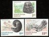 (image for) 2009 Fossils