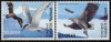 (image for) 2017 TAAF - Birds