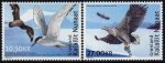 (image for) 2017 TAAF - Birds