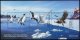 (image for) 2017 TAAF - Birds (M/S)