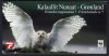 (image for) 1999 Snowy Owl (Booklet)