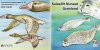 (image for) 2021 Europa/ Endangered Species (Booklet)
