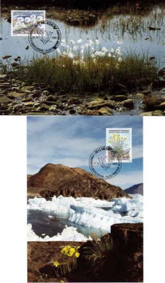 (image for) 1989 Flowers PHQ (2)