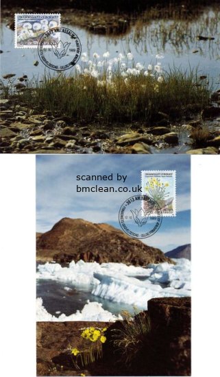 (image for) 1989 Flowers PHQ (2)