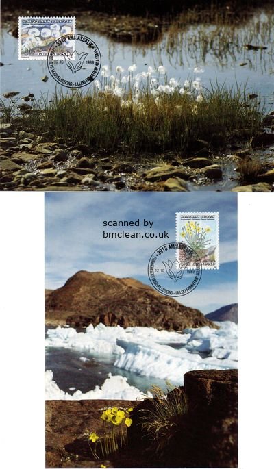 (image for) 1989 Flowers PHQ (2)