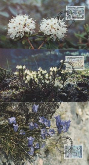 (image for) 1990 Flowers PHQ (3)