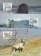 (image for) 1993 Animals PHQ (3)