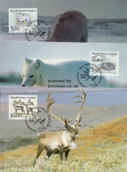 (image for) 1993 Animals PHQ (3)