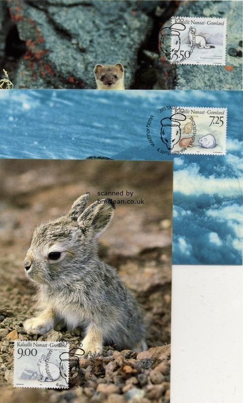 (image for) 1994 Animals PHQ (3)