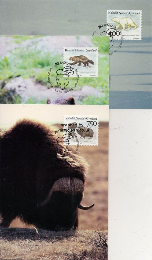 (image for) 1995 Animals PHQ (3)