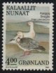 (image for) 4.00 Kr Snow Geese