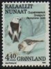 (image for) 4.40 Kr Snow Buntings