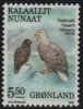 (image for) 5.50 Kr White Tailed Sea Eagle