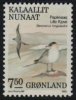 (image for) 7.50 Kr Long Tailed Skuas