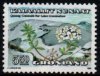 (image for) 5 Kr 50 Labrador Tea